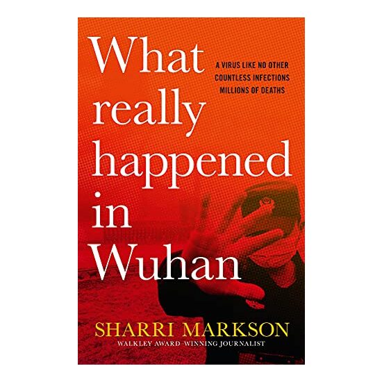 What Really Happened In Wuhan - Imagine 1