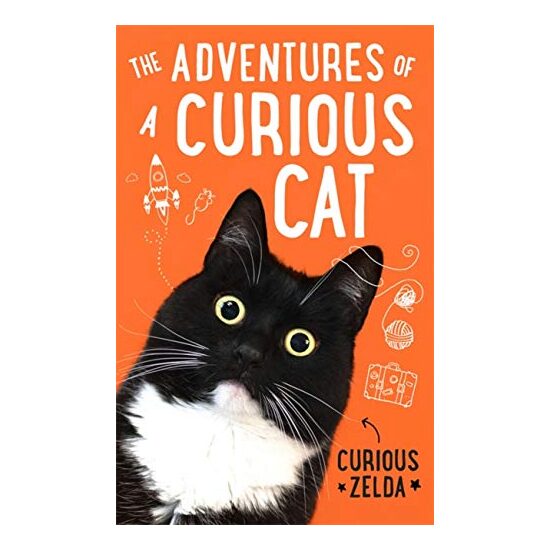 Adventures of a Curious Cat