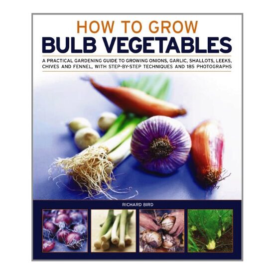 How To Grow Bulb Vegetables