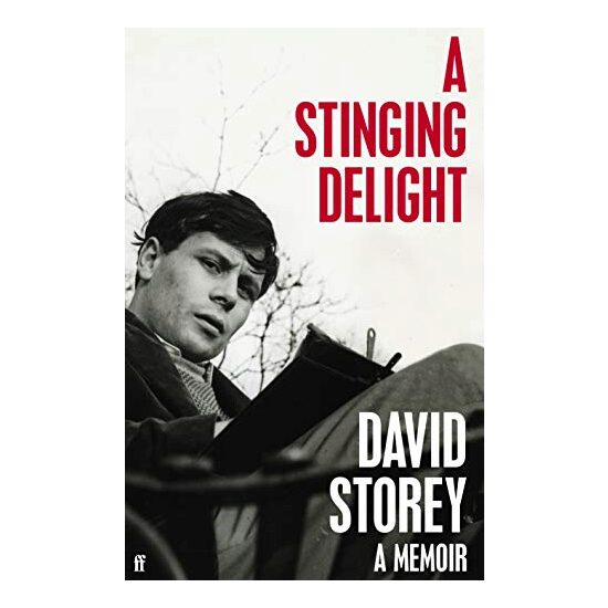Stinging Delight - Imagine 1