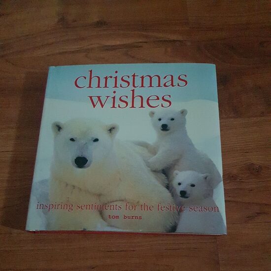 Christmas Wishes - Imagine 1