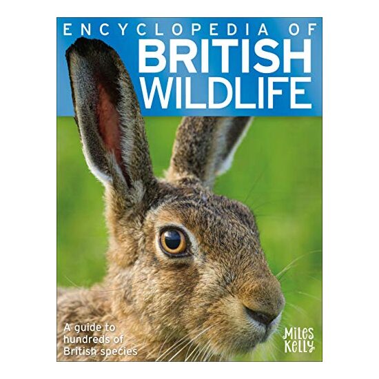 Encyclopedia of British Wildlife - Imagine 1