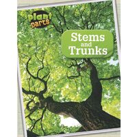 Stems and Trunks