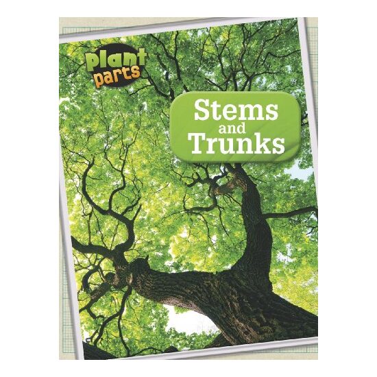 Stems and Trunks