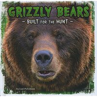 Grizzly Bears