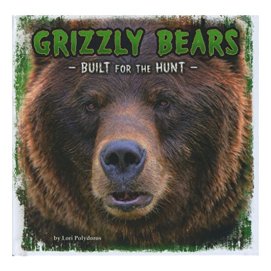 Grizzly Bears - Imagine 1