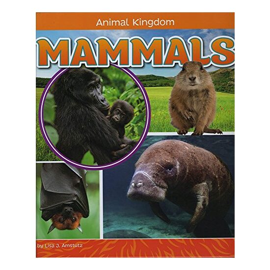 Mammals, Lisa J. Amstutz