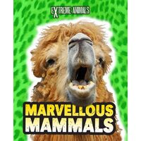 Marvellous Mammals