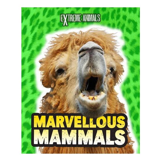Marvellous Mammals - Imagine 1