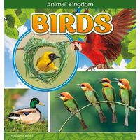 Birds, Pamela Dell