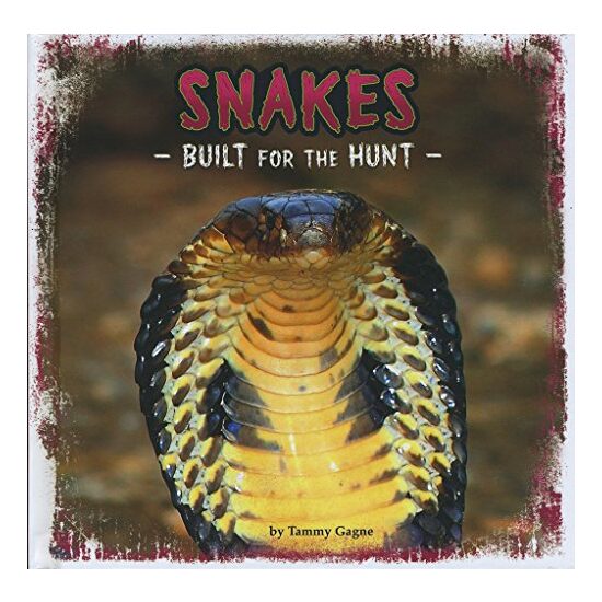 Snakes - Imagine 1