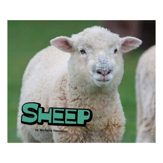 Sheep