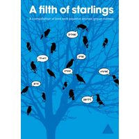 A filth of starlings