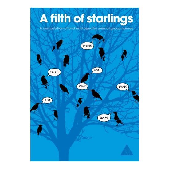 A filth of starlings
