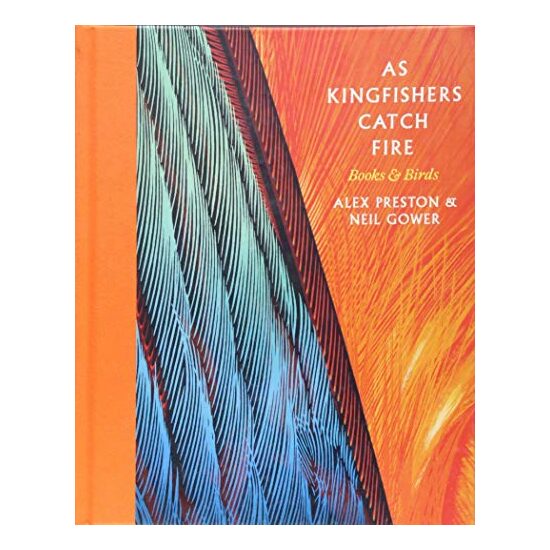 As Kingfishers Catch Fire - Imagine 1