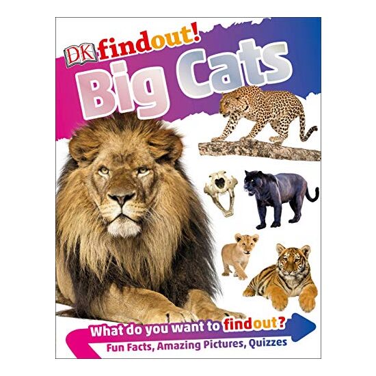 DKfindout! Big Cats, DK Publishing - Imagine 1