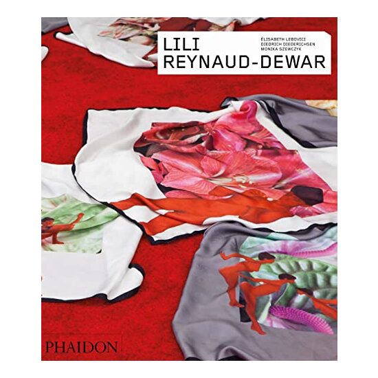 Lili Reynaud-Dewar - Imagine 1