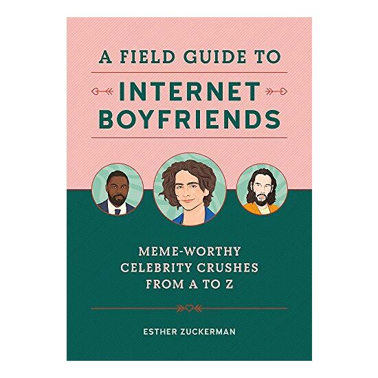 Field Guide to Internet Boyfriends