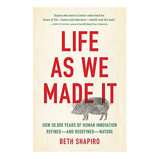 Life As We Made It