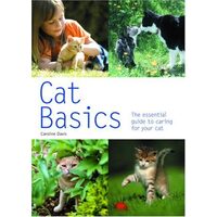 Cat Basics