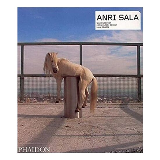 Anri Sala, Anri Sala - Imagine 1
