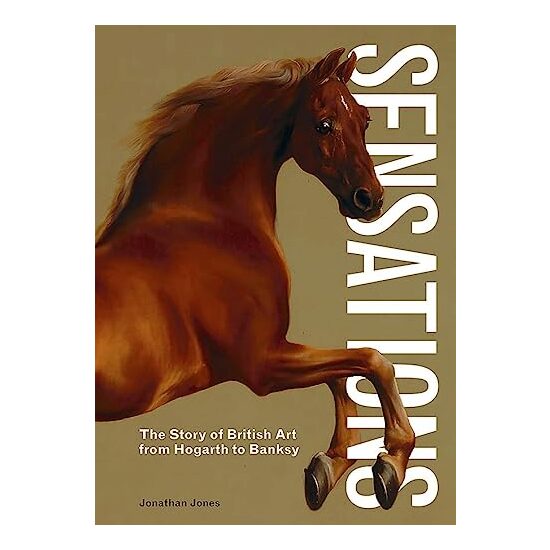Sensations, Jonathan Jones
