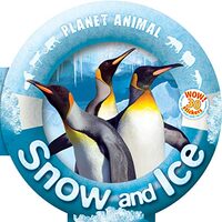 Snow and Ice