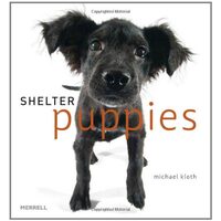 Shelter Puppies