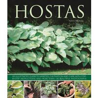 Hostas, Andrew Mikolajski