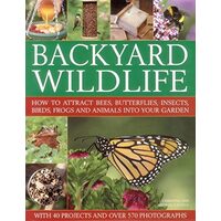 Backyard Wildlife