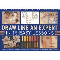 Draw Like an Expert in 15 Easy Lessons