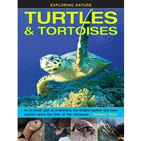 Turtles and Tortoises