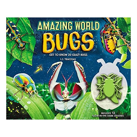 Amazing World : Bugs - Imagine 1