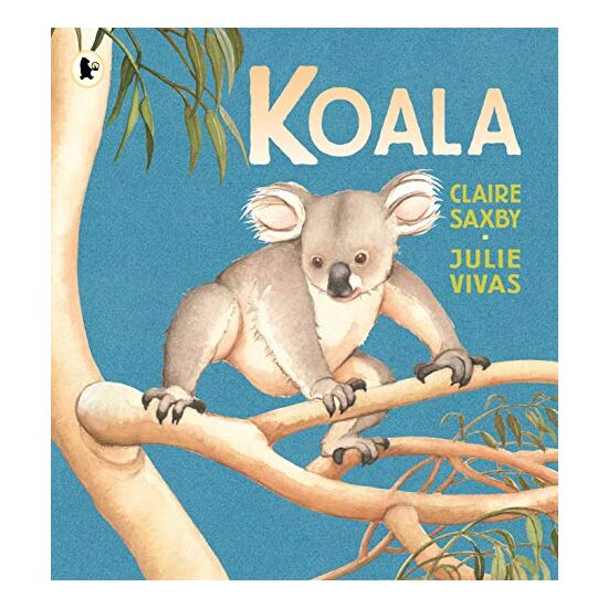 Koala - Imagine 1