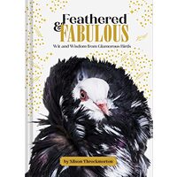Feathered and Fabulous
