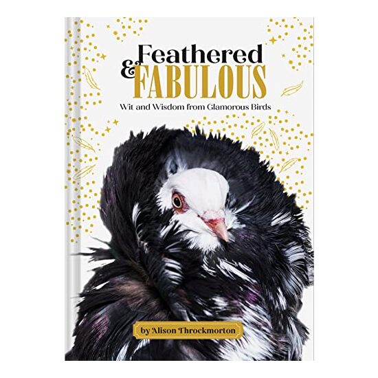 Feathered and Fabulous - Imagine 1