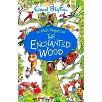 The Enchanted Wood