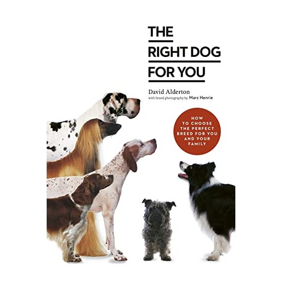 Your Dog Selector - Imagine 1