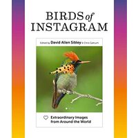 Birds of Instagram