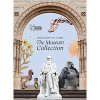 The Museum Collection: Postcards in a Box