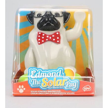 Edmond The Solar Pug - Imagine 1