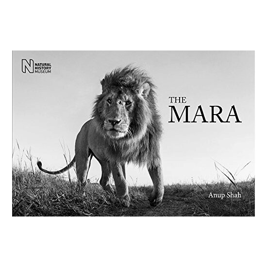 The Mara - Imagine 1