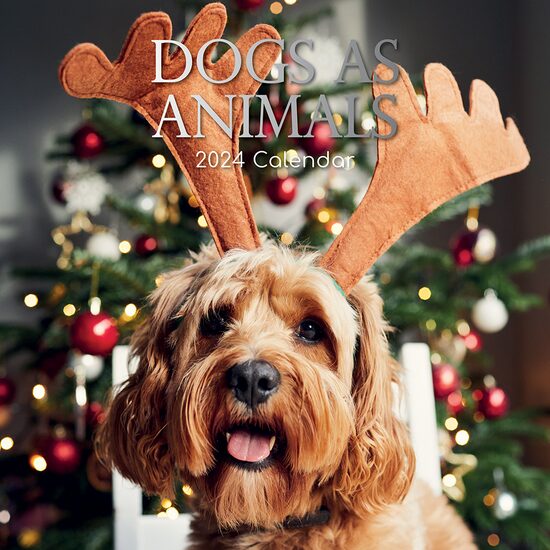 Dogs as Animals - 2024 Square Wall Calendar - Imagine 1