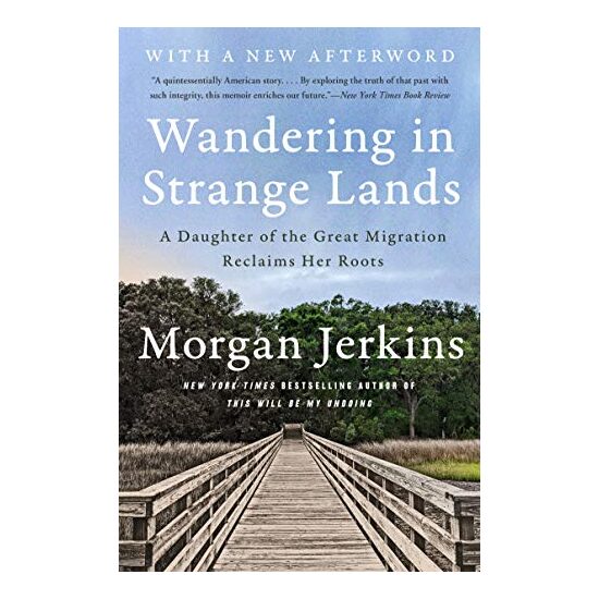 Wandering in Strange Lands - Imagine 1