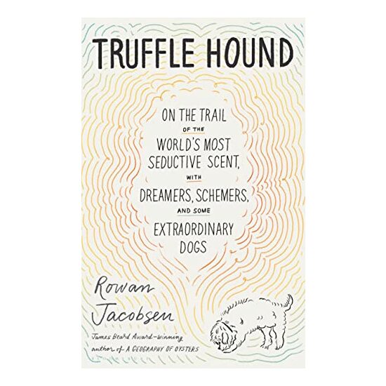 Truffle Hound - Imagine 1
