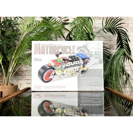 Motorcycle Intelligent Assembly - Imagine 1