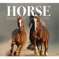 Horse, Catherine Austen, Sarah Gorrie, Pippa Roome, Nicola Jane Swinney