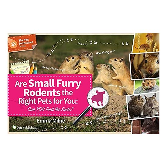 Are Small Furry Rodents the Right Pet for You