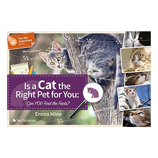 Is a cat the right pet for you
