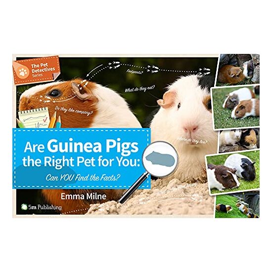 Are Guinea Pigs the Right Pet for You